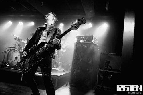 Henrik Bonde Hanfgarn, Bass Stories: More than wood and wires
