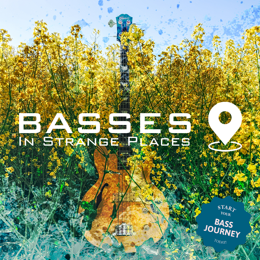 some-basses-fields-of-gold-rapeseed-17