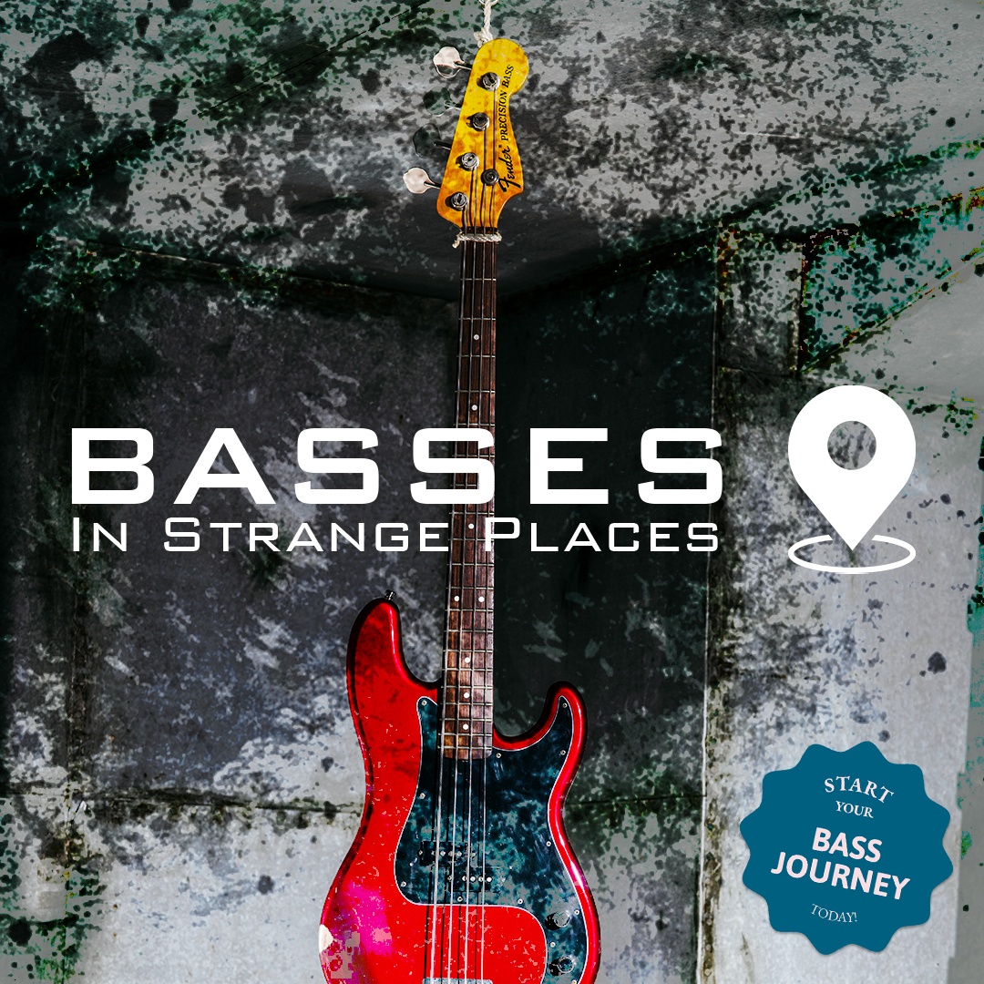 some-the-old-orchard-basement-storage-14